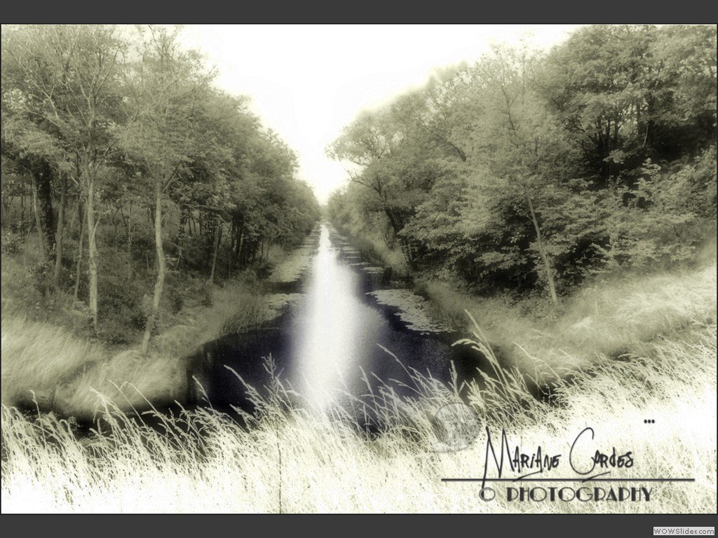 MC_Canal_Vestegnen