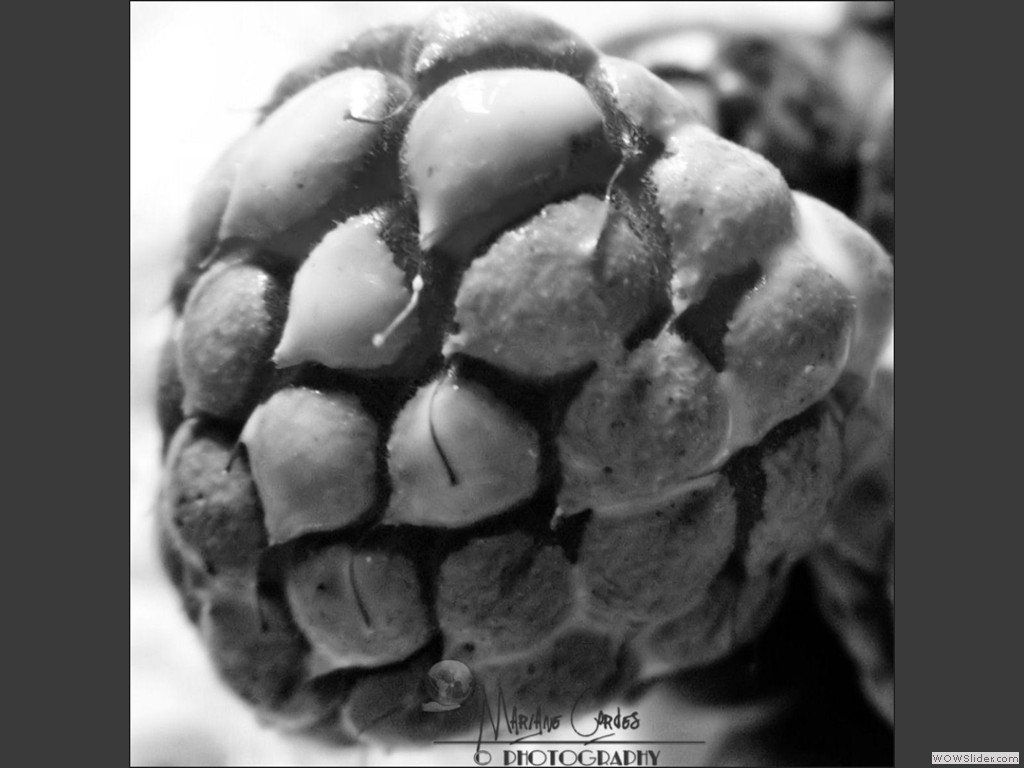 MC_MMM_10-09-12