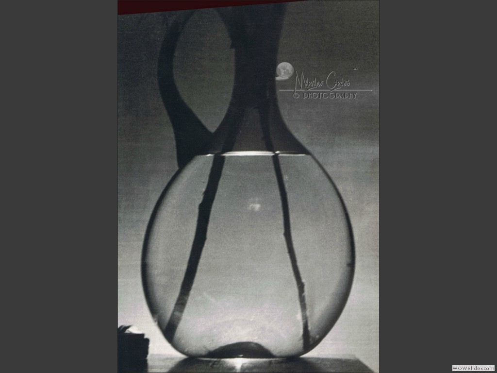 MC_Vase_Anno_1960