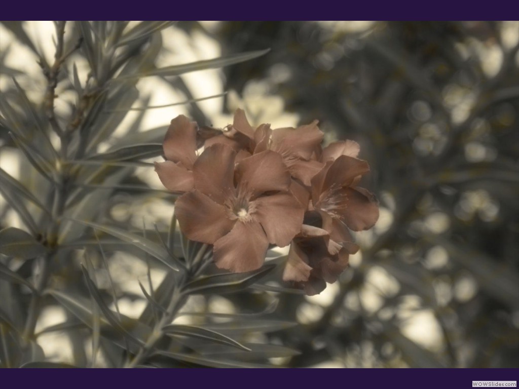 24n2zk1-edited-by-Mariane-Cordes