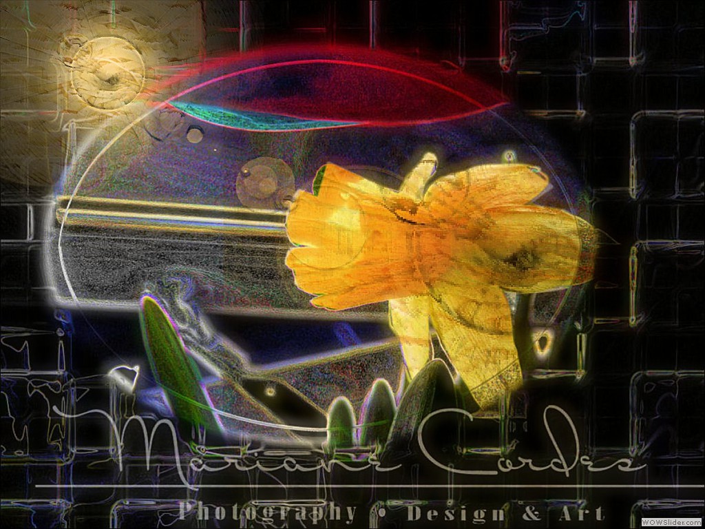 MC 013a