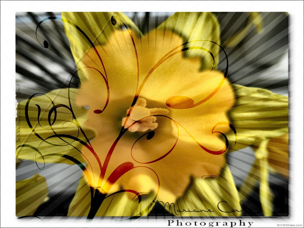 MC_Easter_fun