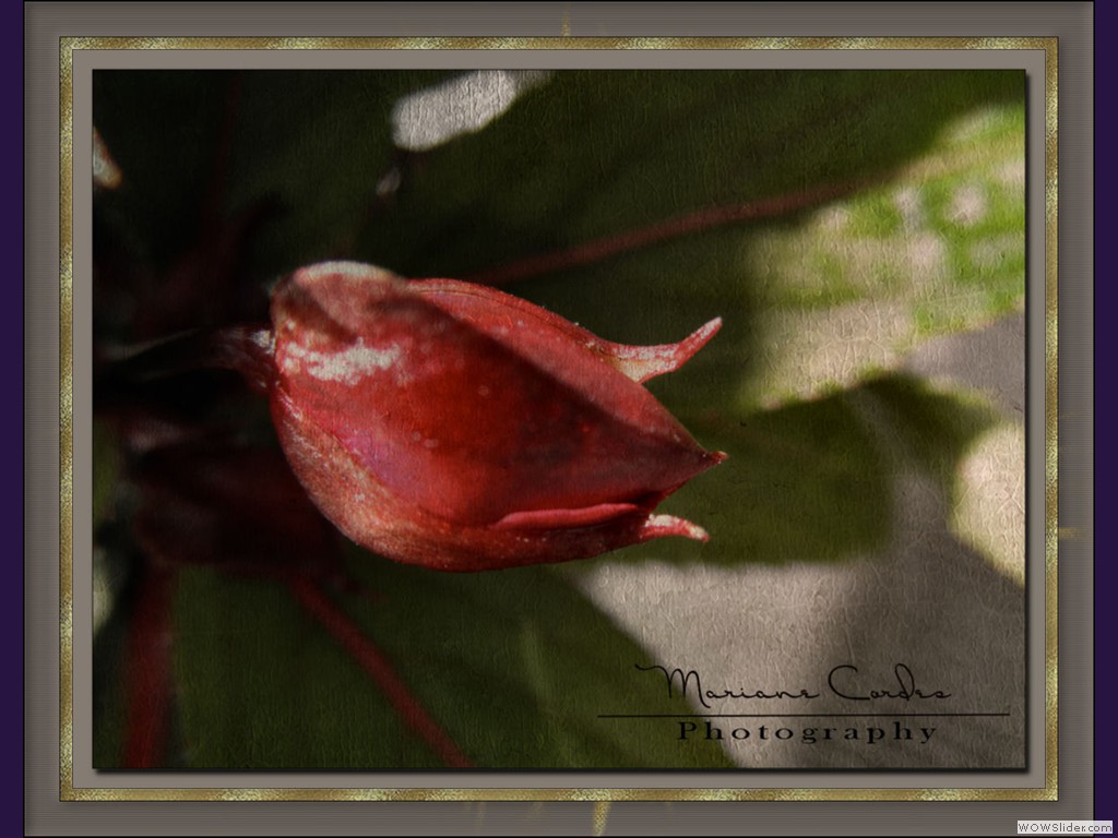 MC_Friday_Art_13-07-2012