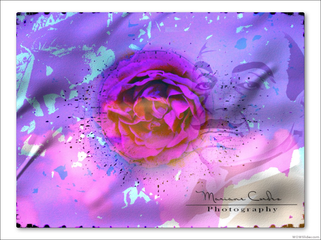 MC_Friday_Art_19-06-2012