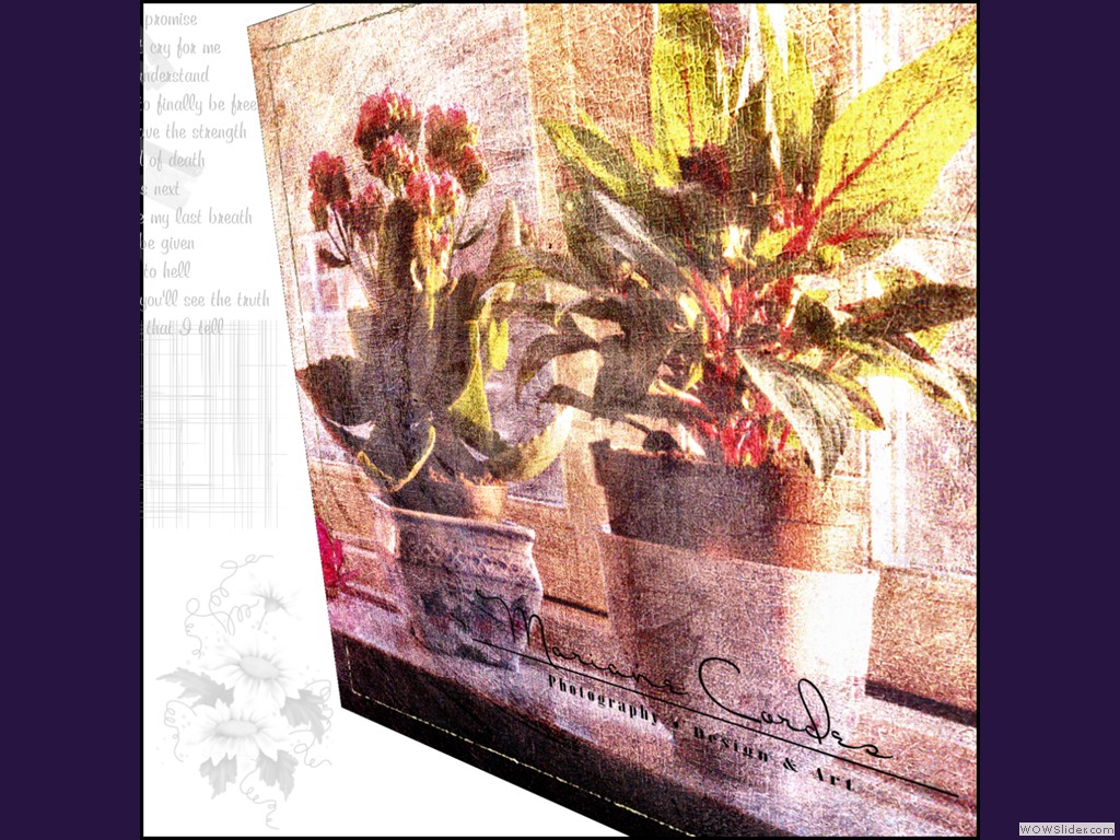 MC_Perspective-flowers