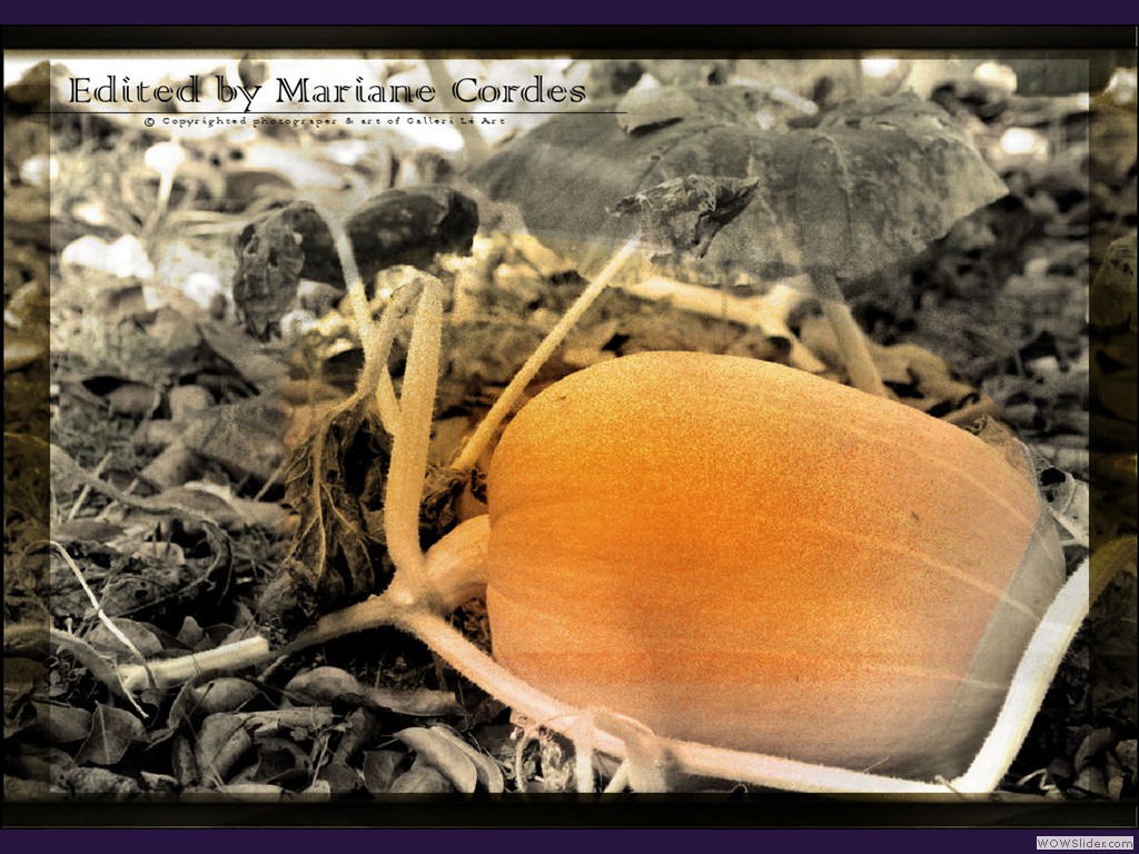 MC_Pumkin
