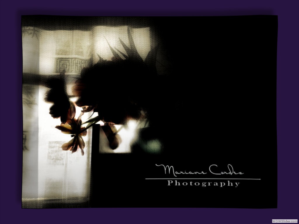 MC_The Shadow