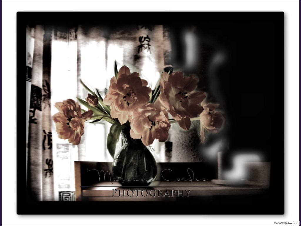 MC_Tulips-a-la-art