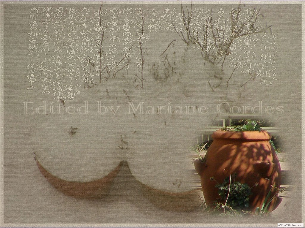 web-pdpa-Bamboo-Dream-textu-edited2