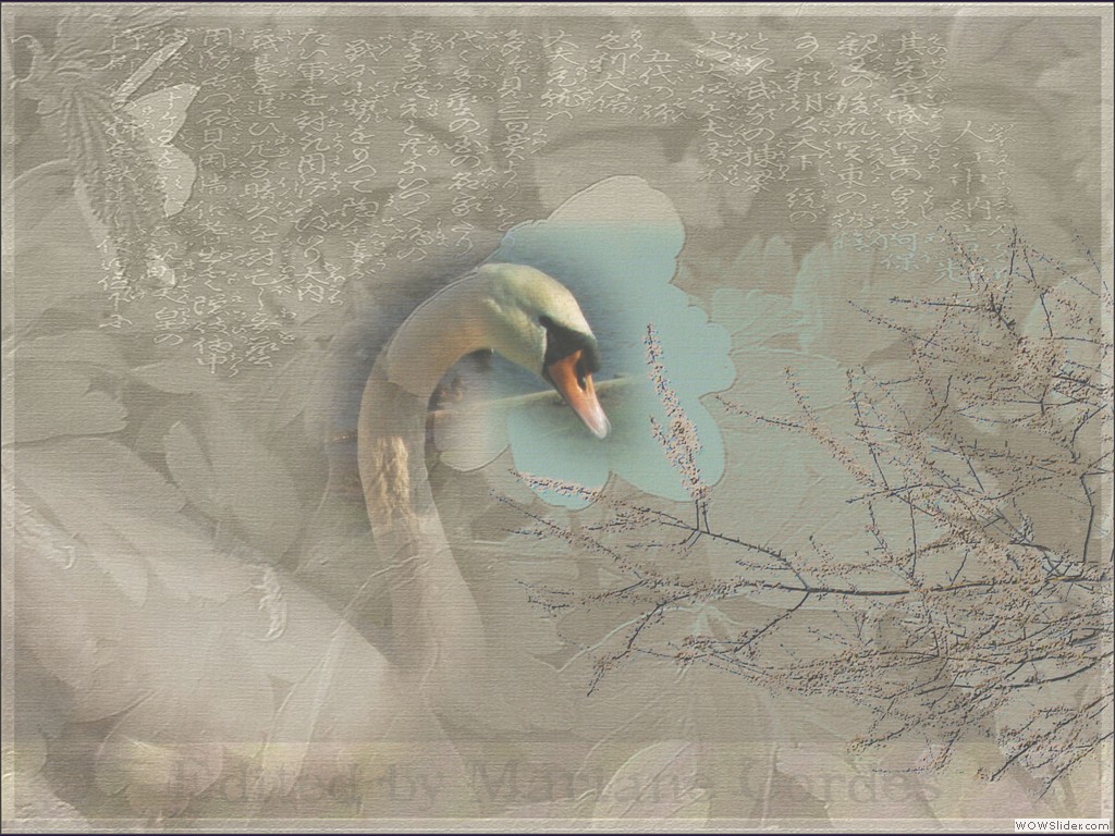web-pdpa-Bamboo-Dream-textu-edited3
