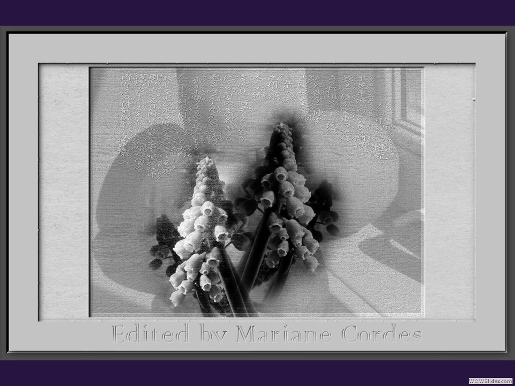 web-pdpa-Bamboo-Dream-textu-edited4