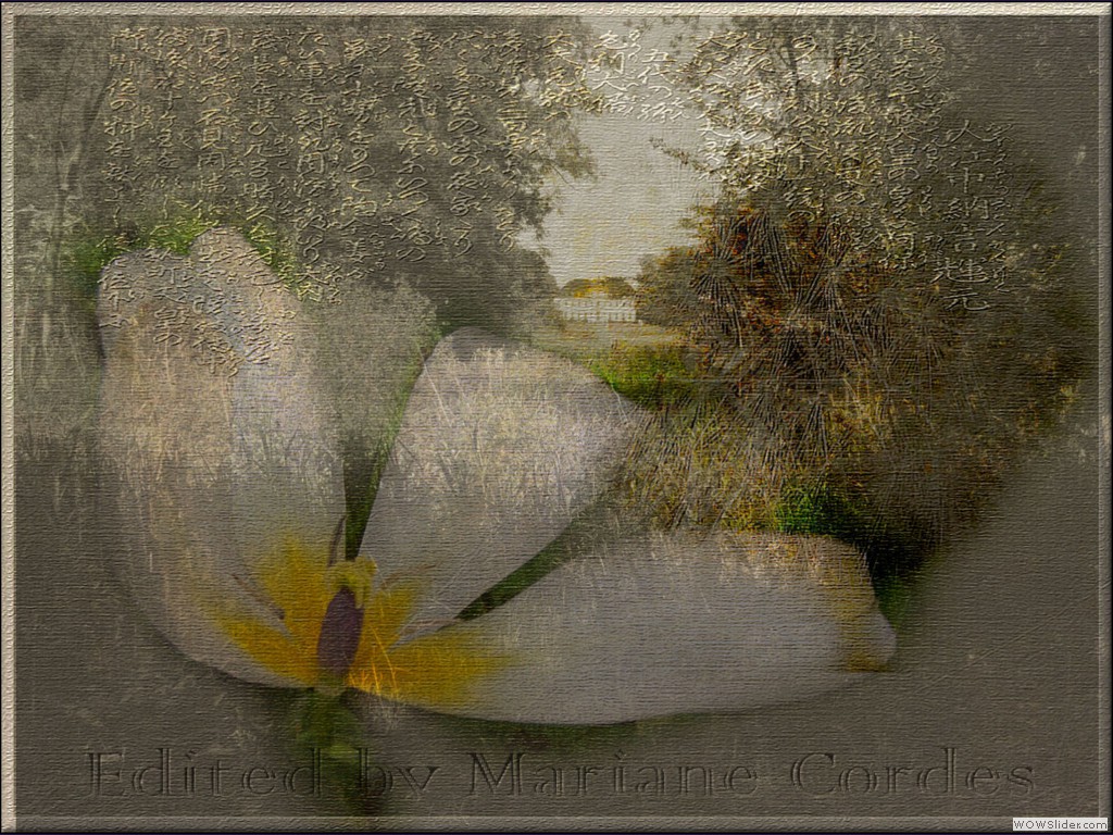web-pdpa-Bamboo-Dream-textu-edited5