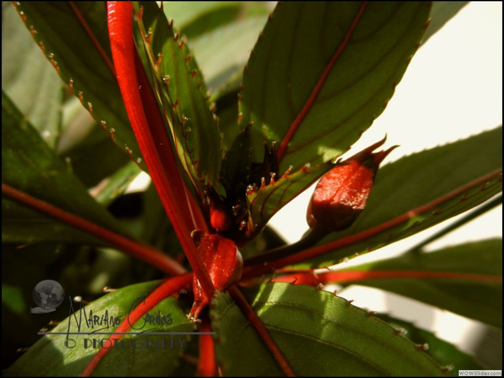 MC_Macro_30-06-2012