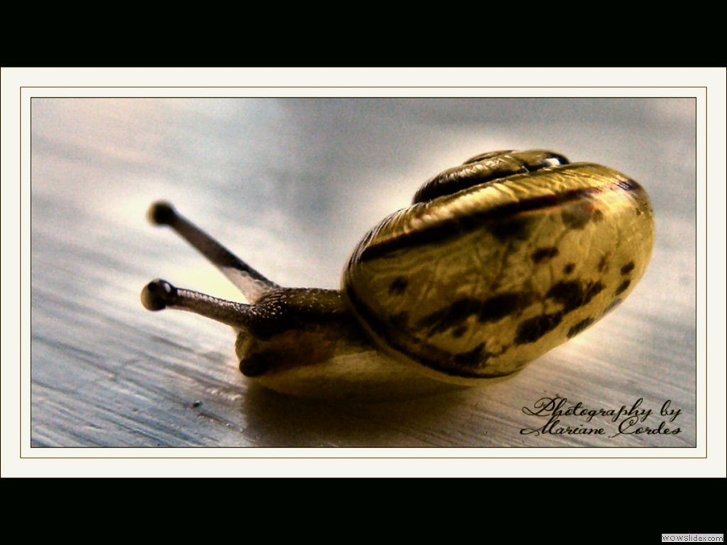 mc-macro-14-09-2011