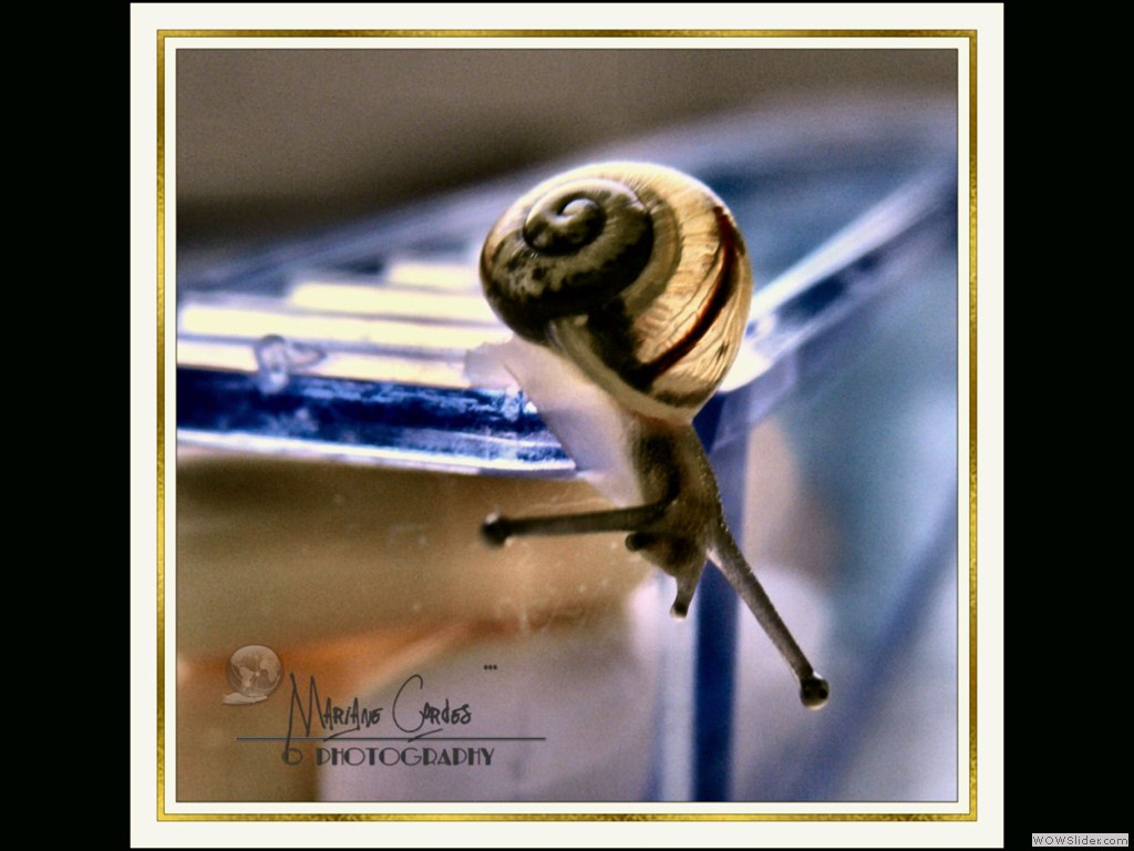mc-macro-14-09-2011-1