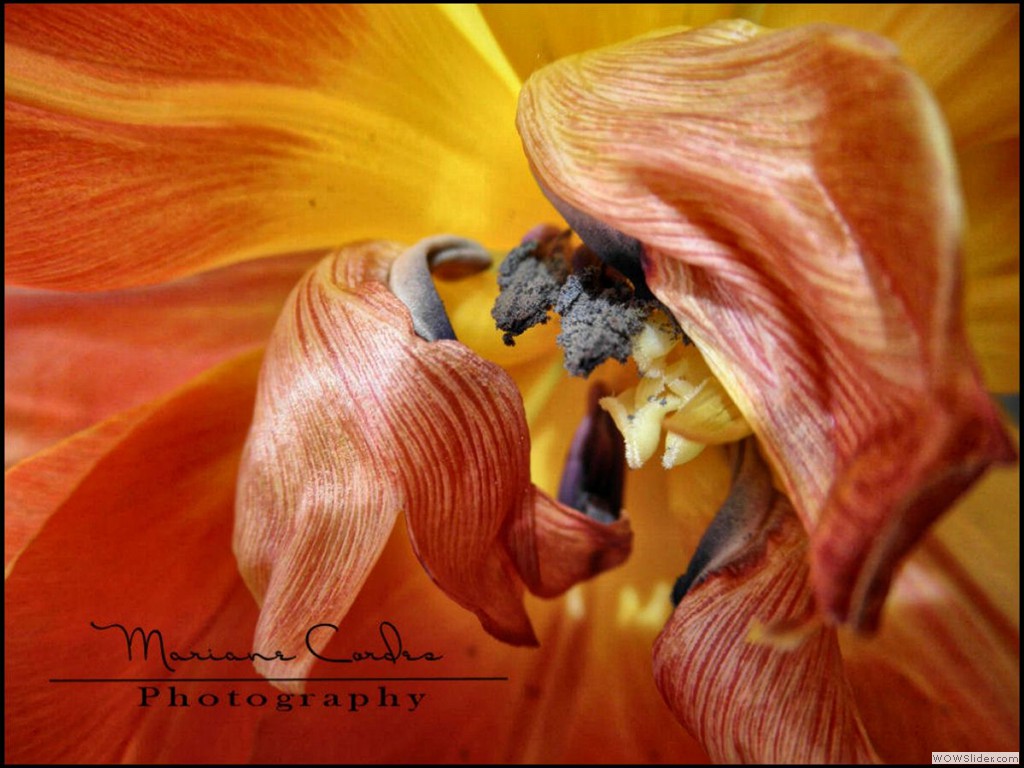P3313752