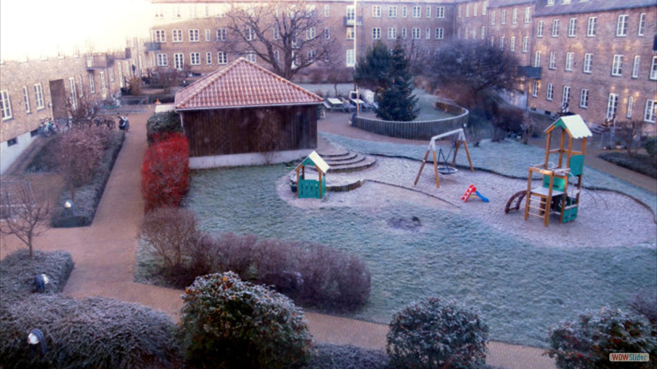 12.DECEMBER