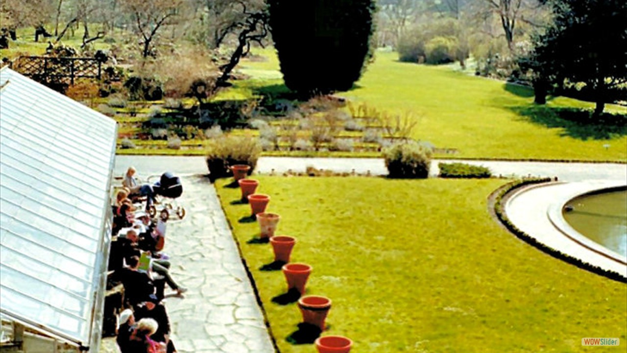 Botanic-Garden1