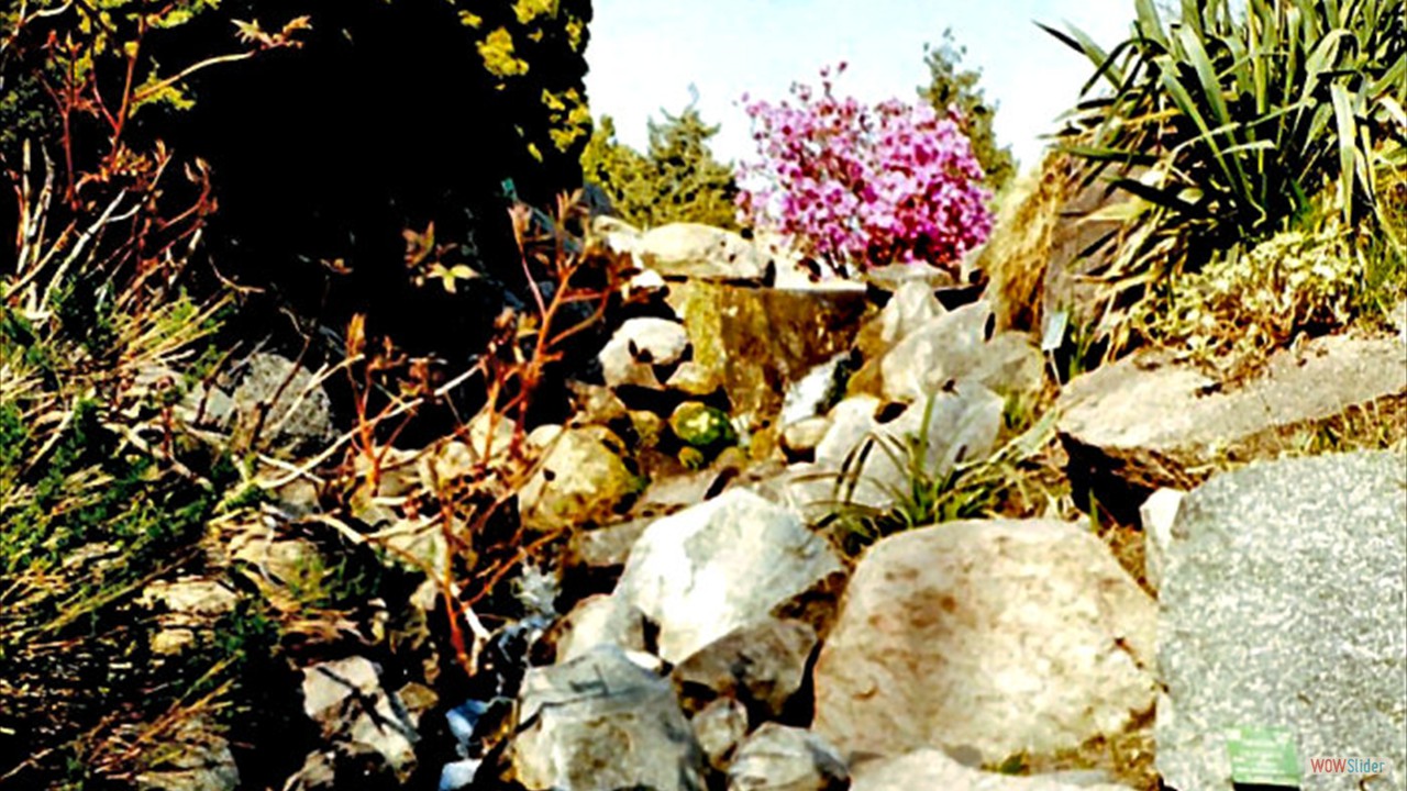 Botanic-Garden14