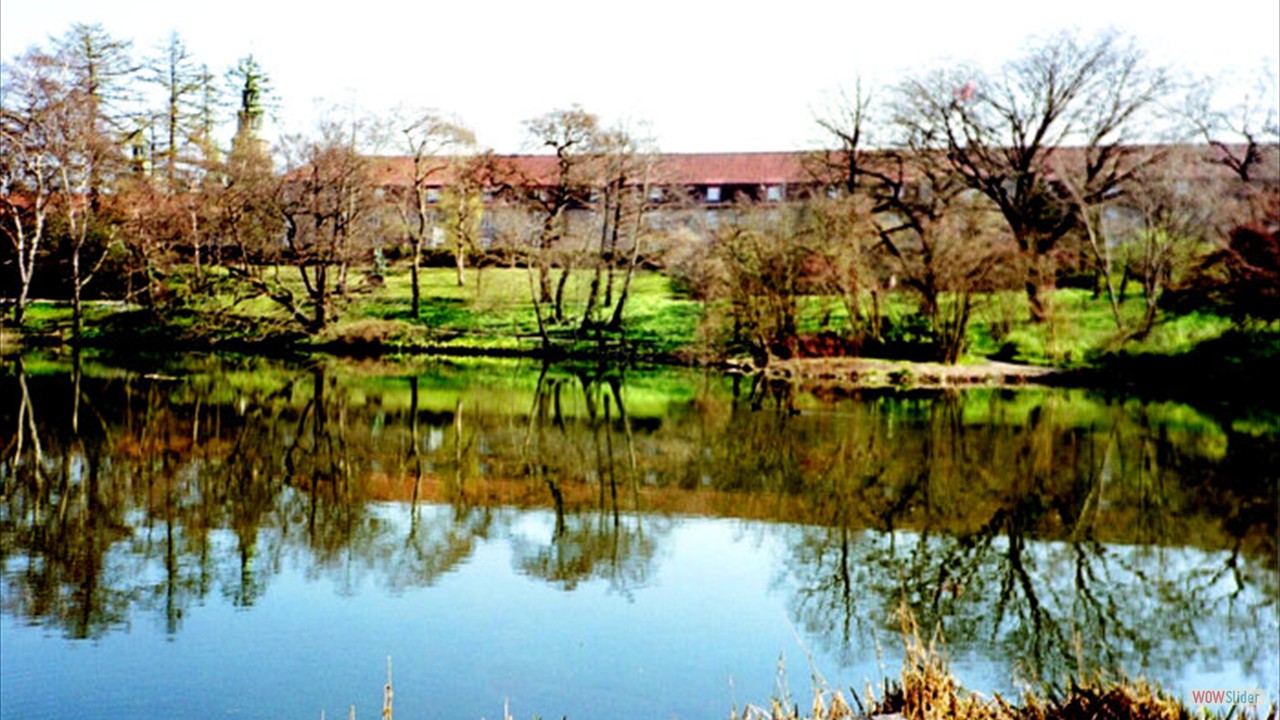Botanic-Garden17