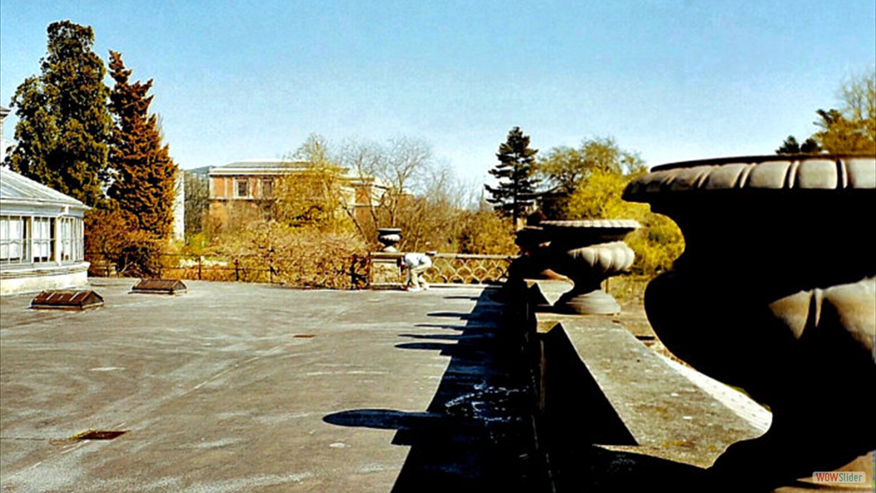 Botanic-Garden2