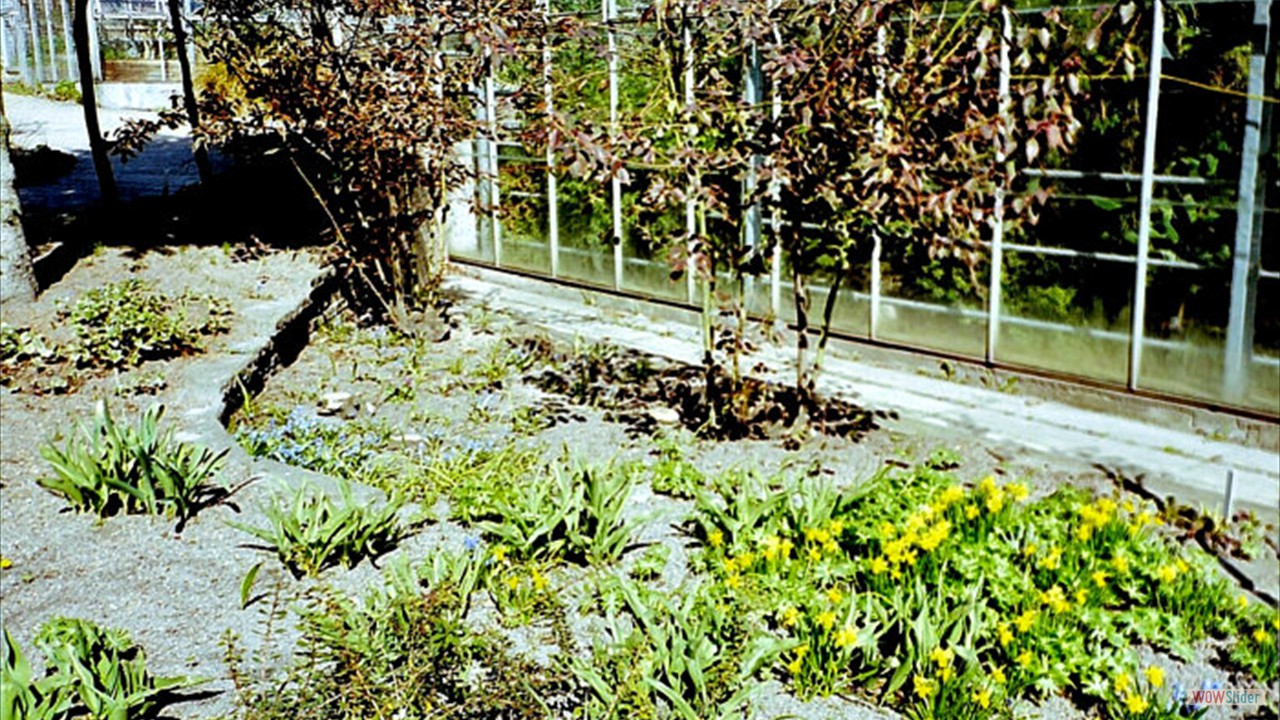 Botanic-Garden3