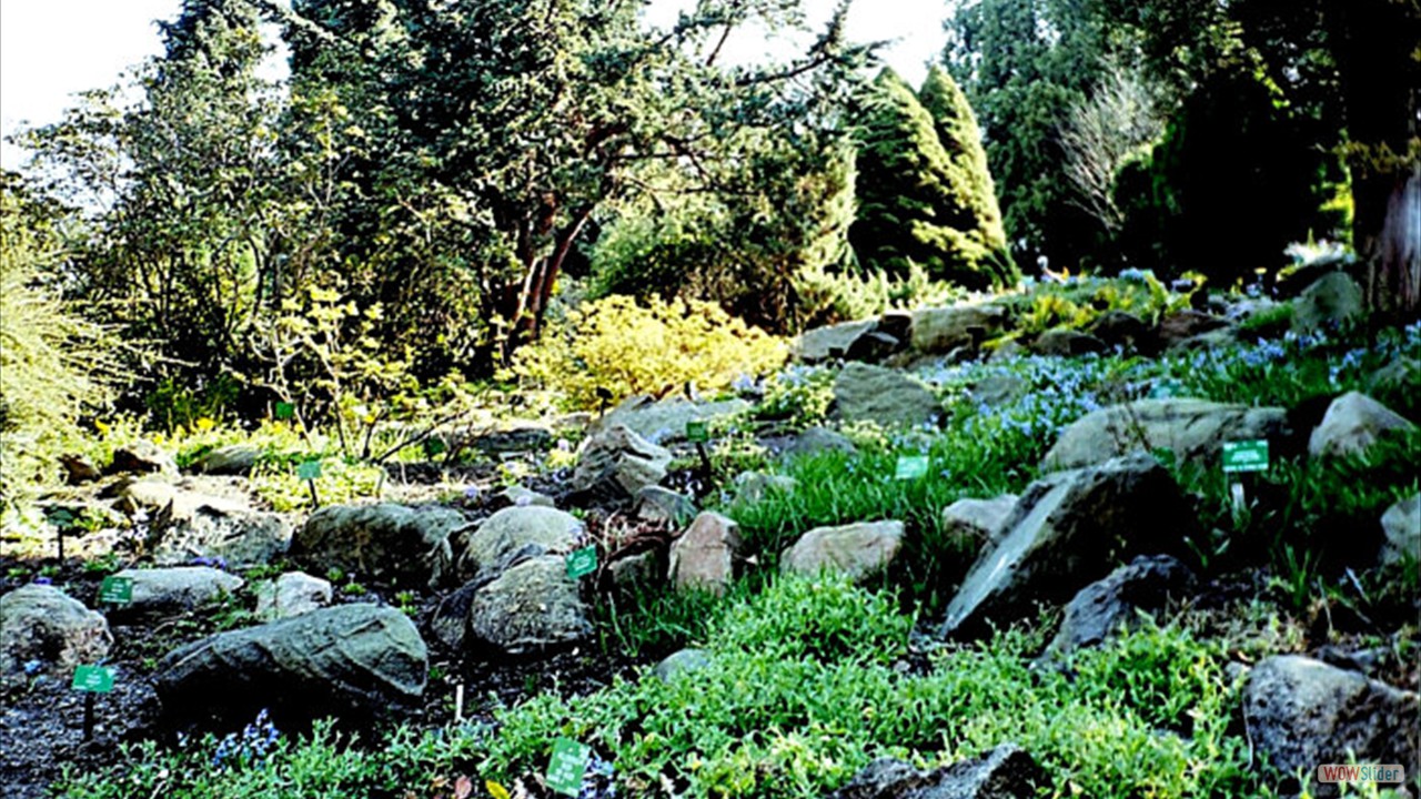 Botanic-Garden8